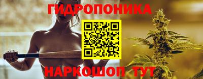 spice Аша