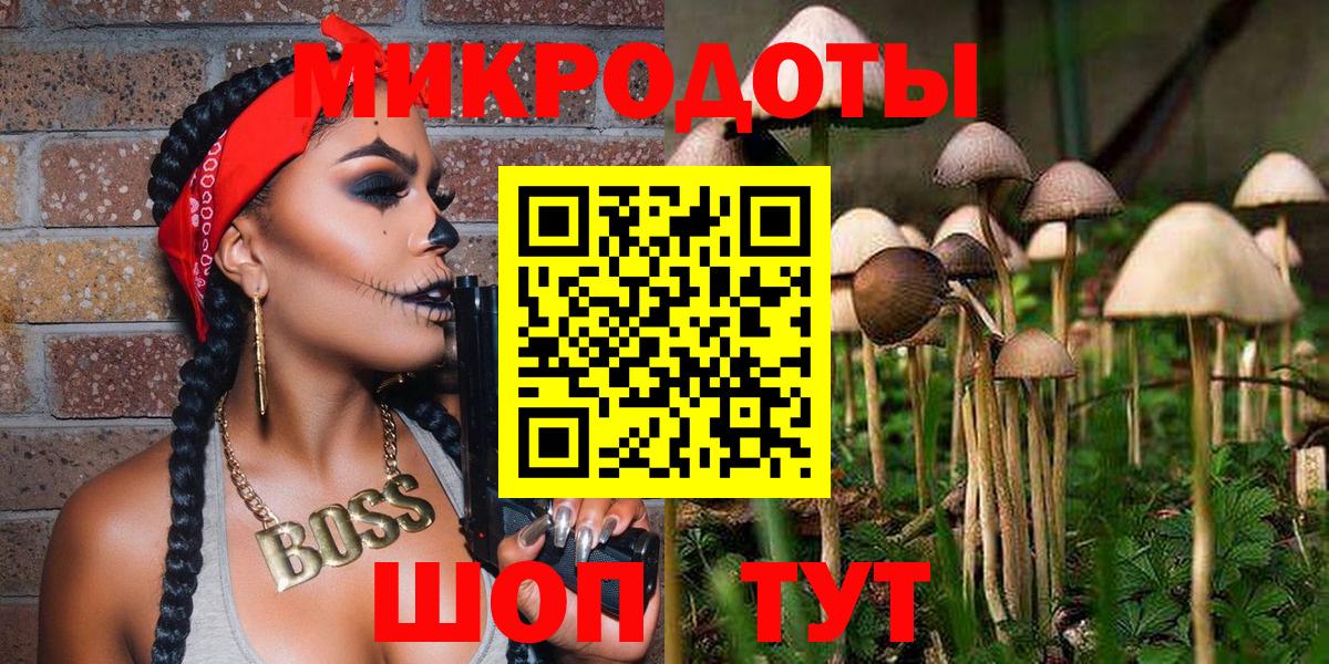 Галлюциногенные грибы Cubensis  Вход с VPN  Волжский  Галлюциногенные грибы мицелий 